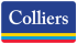 colliers-logo-100x40